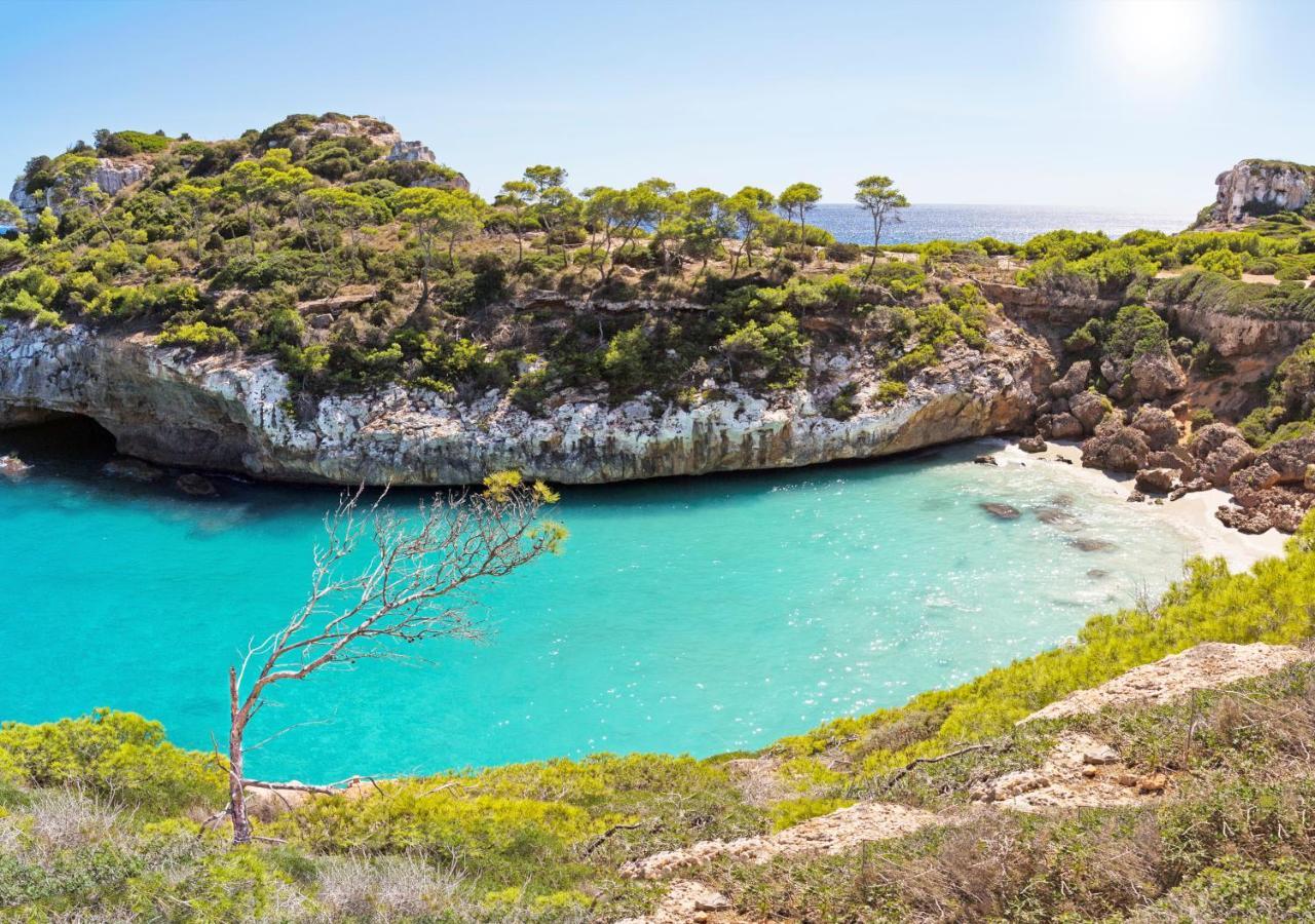 Marblau Mallorca Cala Figuera  Esterno foto